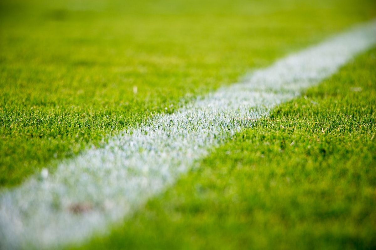 Sweden vs Tunisia - FIFA World Cup 2026